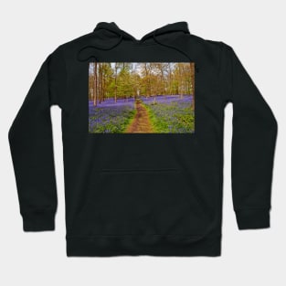 Bluebell Woods Greys Court Oxfordshire UK Hoodie